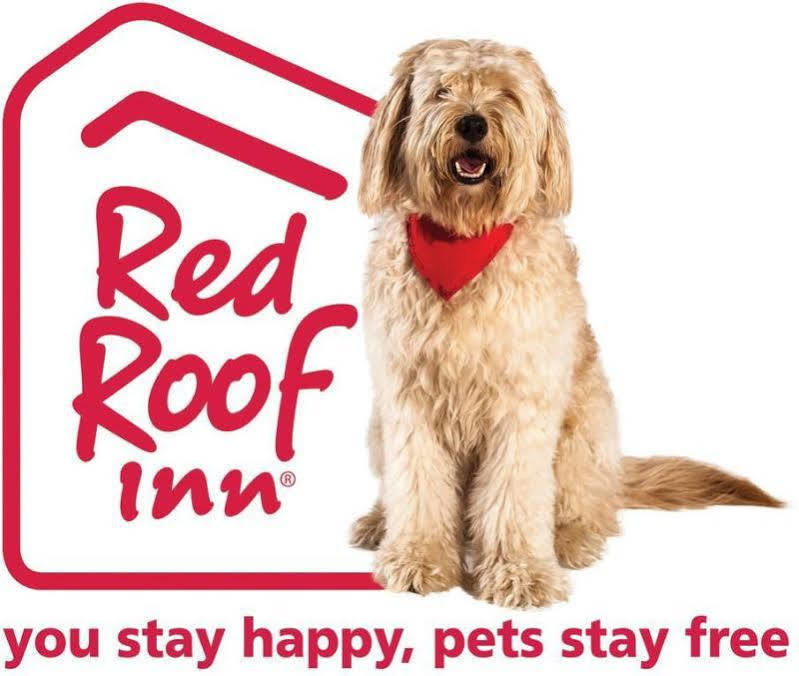 Red Roof Inn Cleveland Airport - Middleburg Heights Εξωτερικό φωτογραφία